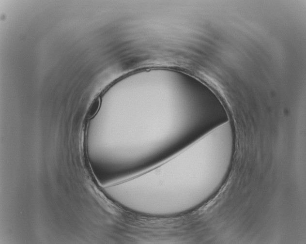 X0000090471179200707131011