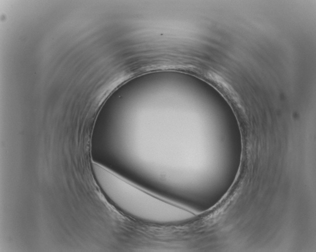 X0000090471185200707131011