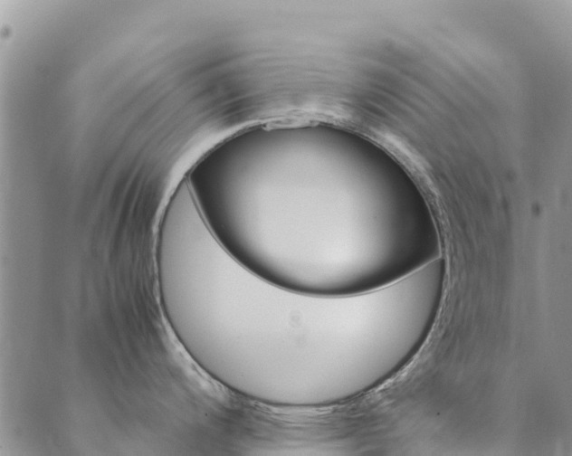 X0000090471200200707131011