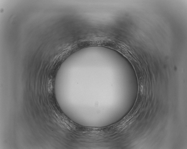 X0000090471204200707131010