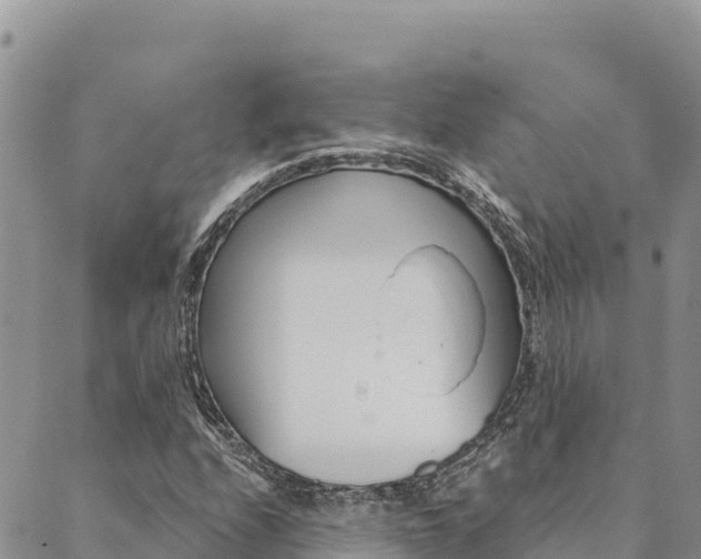 X0000090471208200707131010