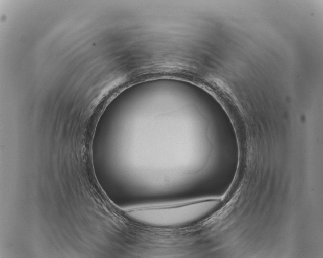 X0000090471210200707131010