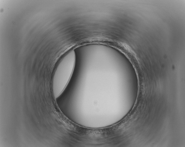 X0000090471217200707131010