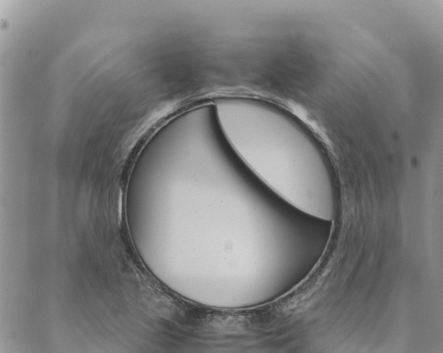 X0000090471221200707131010