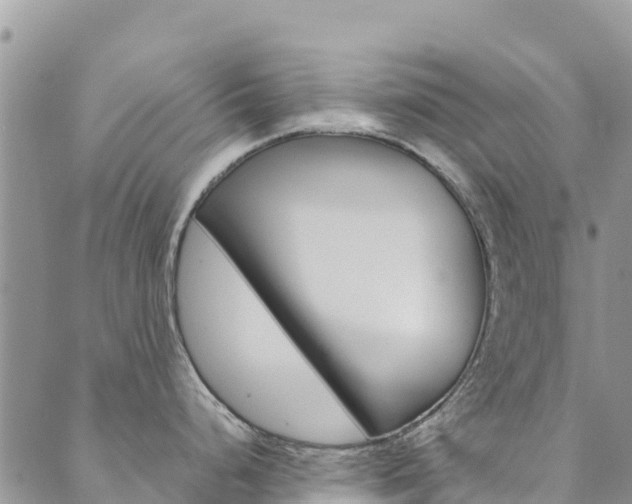 X0000090471248200707131011