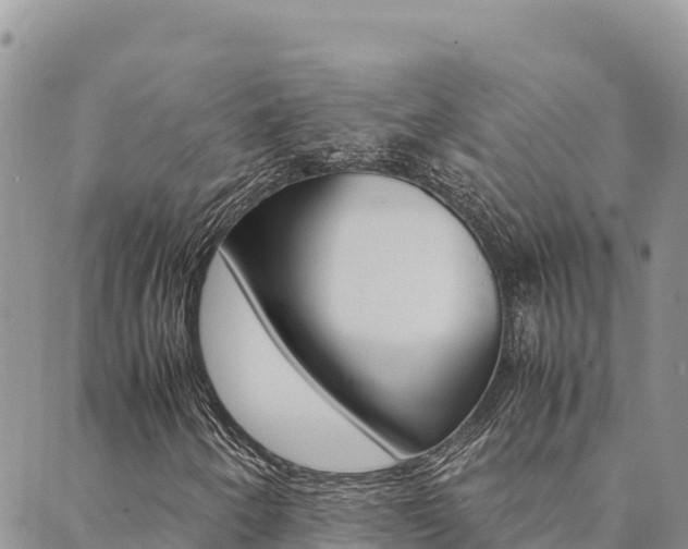 X0000090471250200707131010