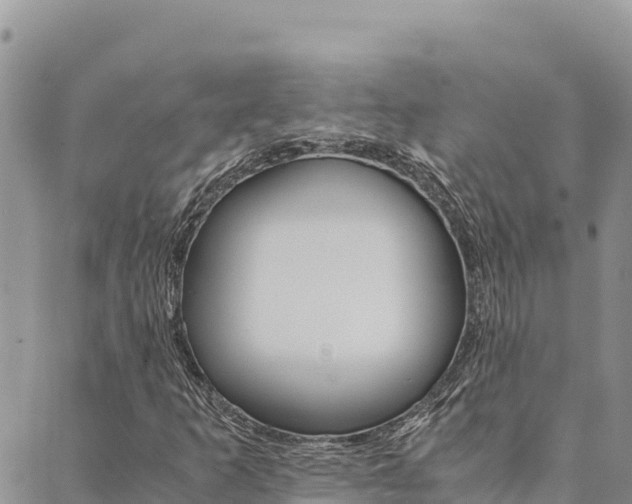 X0000090471253200707131010