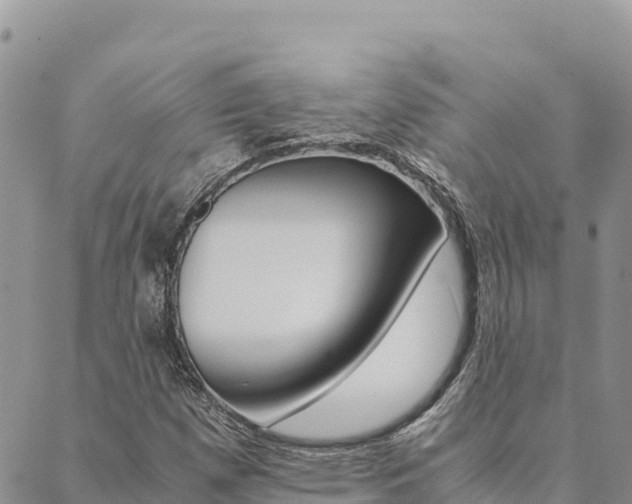 X0000090471257200707131010