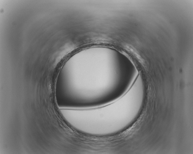 X0000090471261200707131010