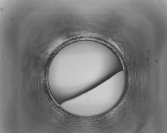 X0000090471263200707131010