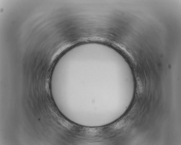 X0000090471266200707131009