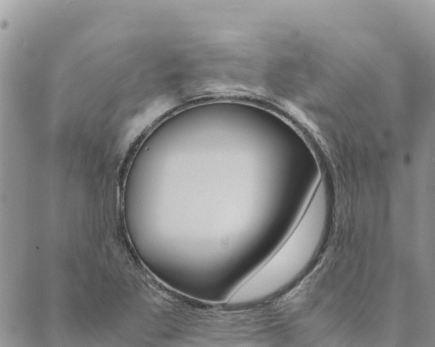 X0000090471269200707131009