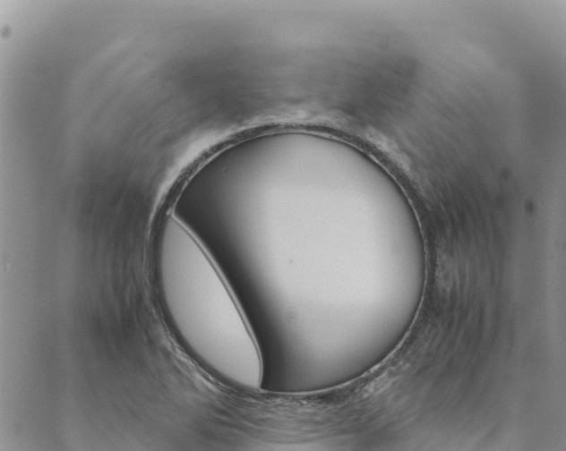 X0000090471270200707131009