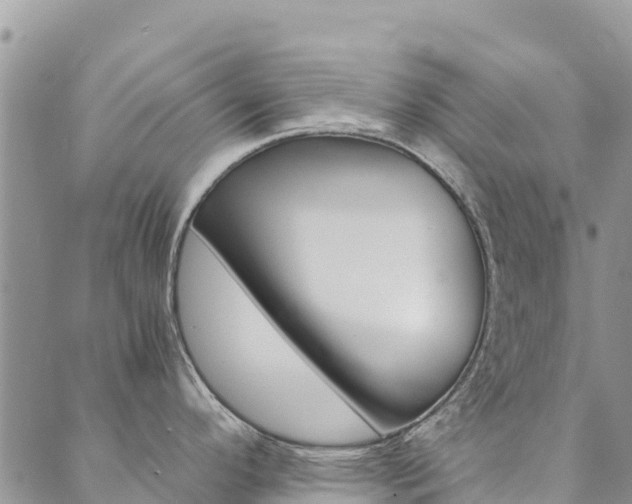 X0000090471296200707131009