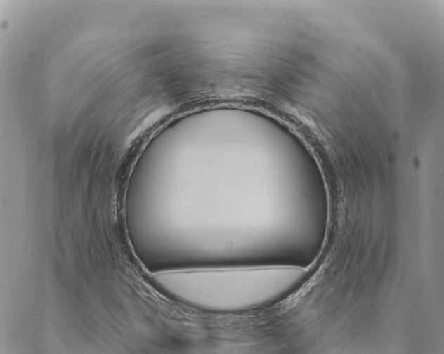 X0000090471306200707131008