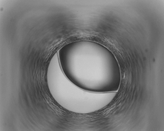 X0000090471348200707131008