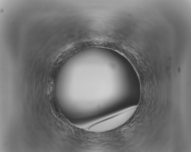 X0000090471349200707131008