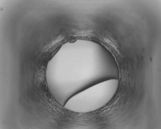 X0000090471350200707131008