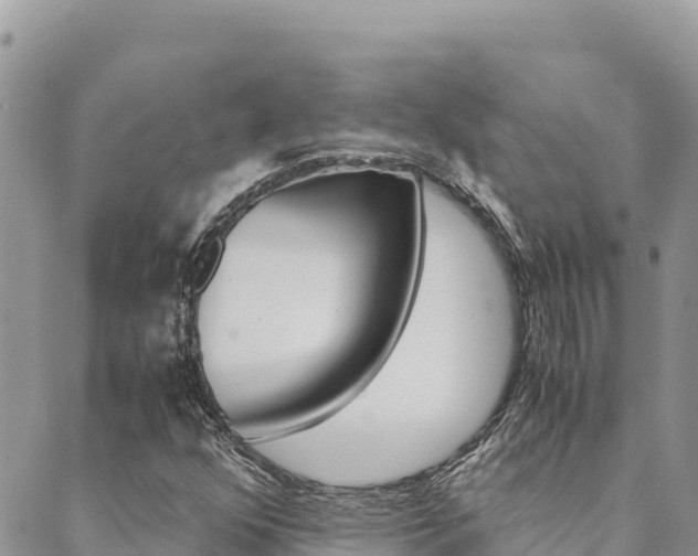 X0000090471352200707131008