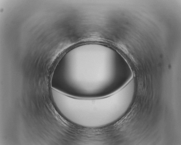 X0000090471356200707131008