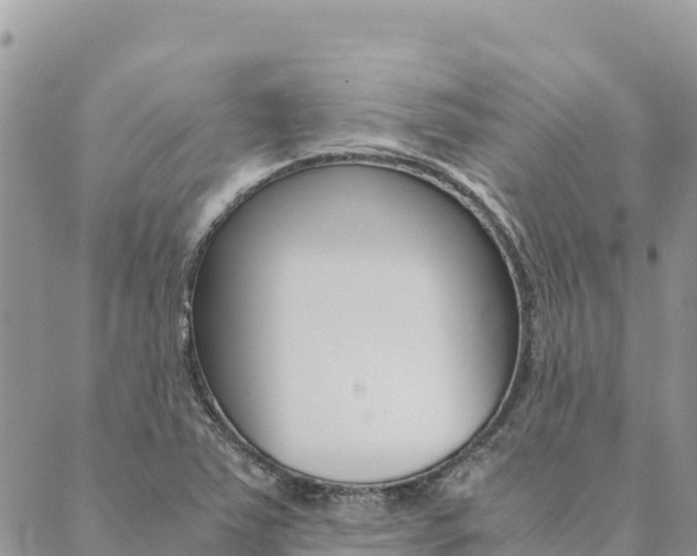 X0000090471363200707131008