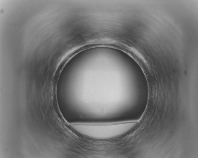 X0000090471364200707131008