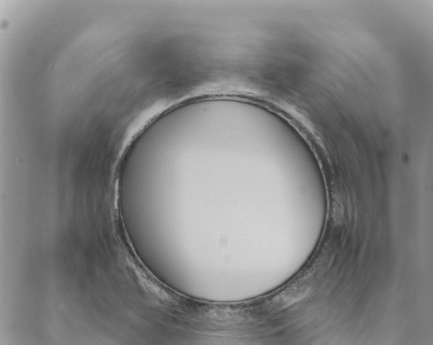 X0000090471366200707131008