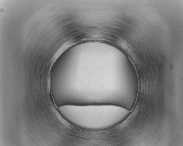 X0000090471370200707131008