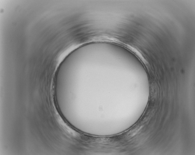 X0000090471387200707131008