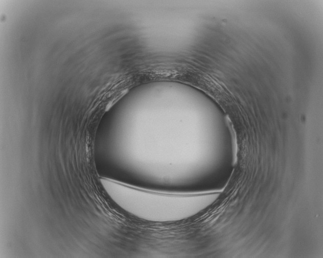 X0000090471394200707131007