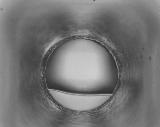 X0000090471400200707131007