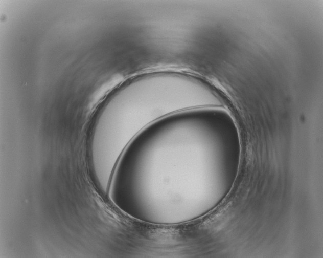 X0000090471406200707131007