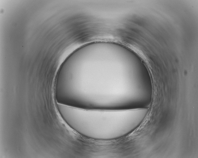 X0000090471440200707131007
