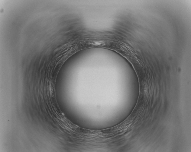 X0000090471442200707131007