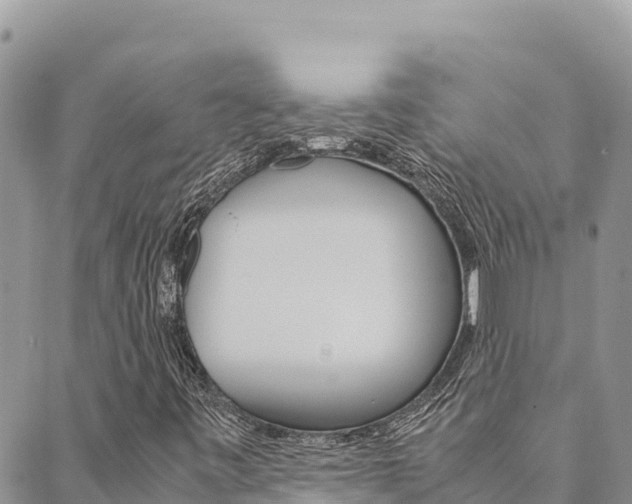 X0000090471443200707131007