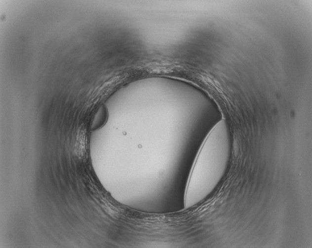 X0000090471444200707131007