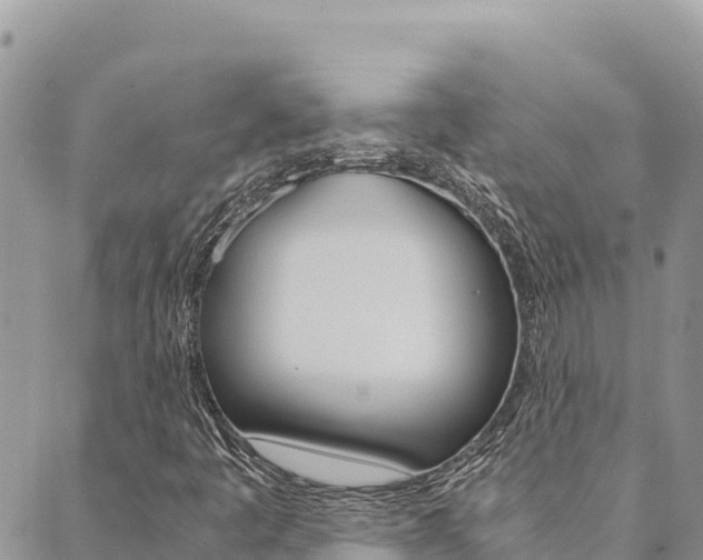 X0000090471445200707131007