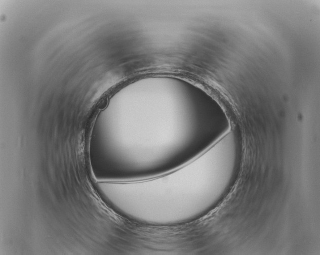 X0000090471450200707131007