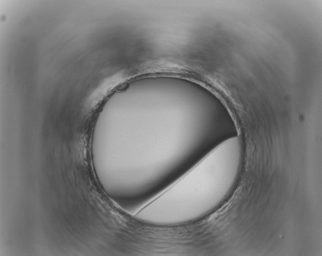 X0000090471455200707131006