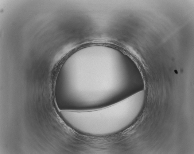X0000090471456200707131006