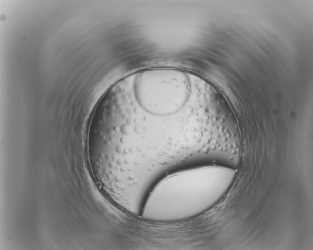 X0000090471483200707131006