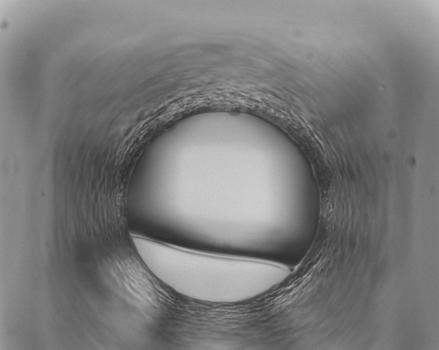 X0000090471490200707131005