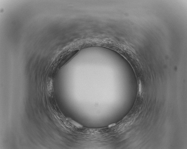 X0000090471492200707131005