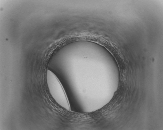 X0000090471493200707131005