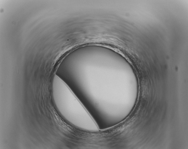 X0000090471497200707131005