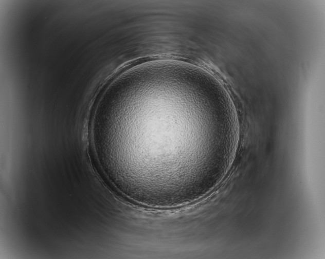 X0000090470002200707131306