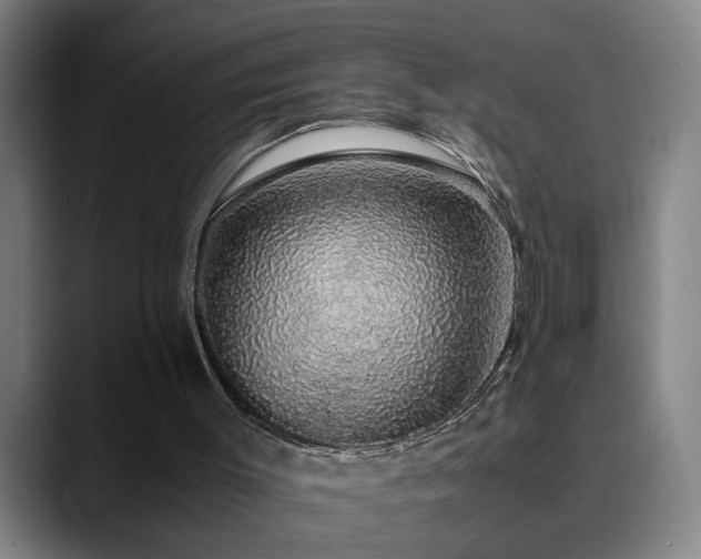 X0000090470003200707131306