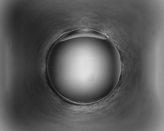 X0000090470005200707131306