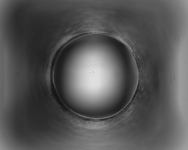 X0000090470008200707131306