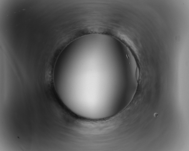 X0000090470017200707131306